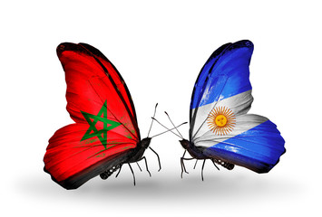 Two butterflies with flags Morocco and Argentina
