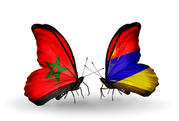 Two butterflies with flags Morocco and Armenia