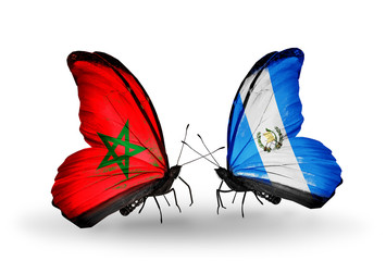 Two butterflies with flags Morocco and Guatemala