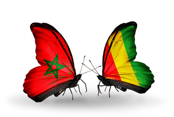 Two butterflies with flags Morocco and Guinea