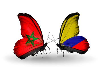 Two butterflies with flags Morocco and Columbia
