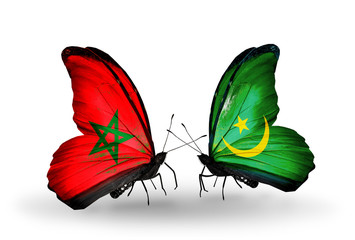 Two butterflies with flags Morocco and Mauritania