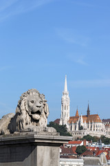 Budapest Chain bridge lion statue