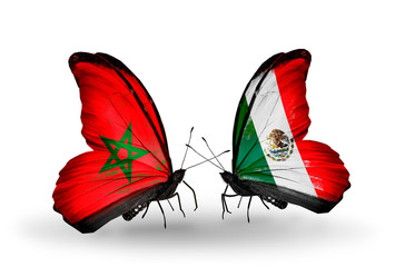 Two butterflies with flags Morocco and Mexico