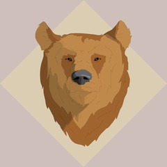 vector illustration Bear