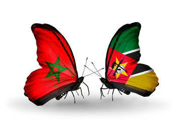 Two butterflies with flags Morocco and Mozambique
