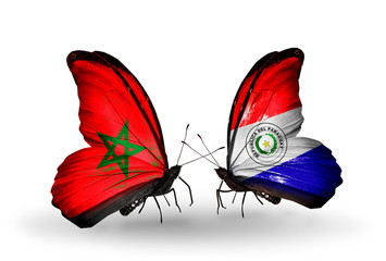 Two butterflies with flags Morocco and Paraguay