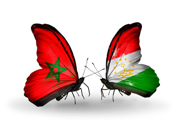 Two butterflies with flags Morocco and Tajikistan