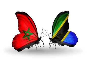 Two butterflies with flags Morocco and Tanzania