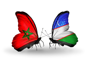 Two butterflies with flags Morocco and Uzbekistan