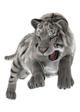 White Tiger