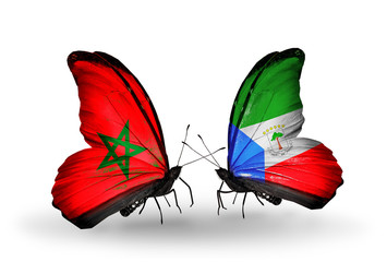 Two butterflies with flags Morocco and Equatorial Guinea