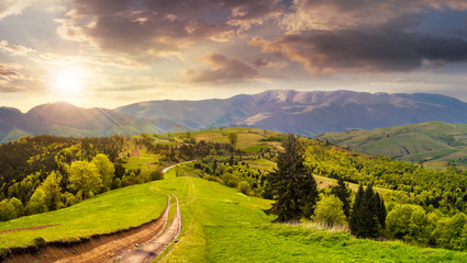 Obraz premium road through the meadow on hillside at sunset