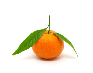 tangerine with leaf