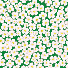 Vector background. Flowers.