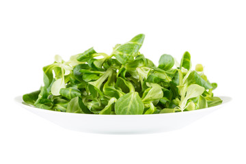 watercress salad