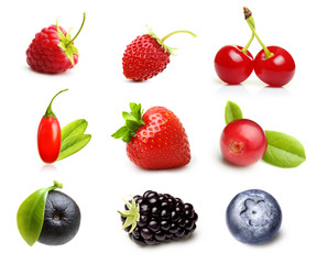 Different type of berry fruits isolated