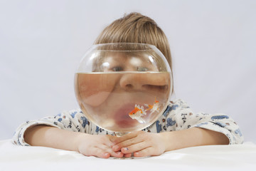 Kind hinter Glas mit Goldfischen