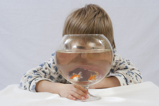 Kind hinter Glas mit Goldfischen