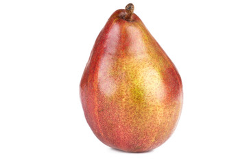 d'Anjou pear