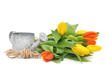 bouquet de tulipes et arrosoir © coco
