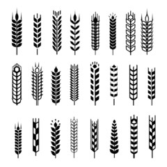 Wheat ear icon set, graphic design elements, black isolated on