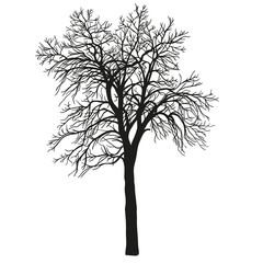 Obraz premium realistic silhouette of tree. hend drown