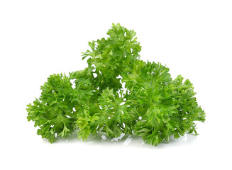 green leaves of parsley isolated on white background