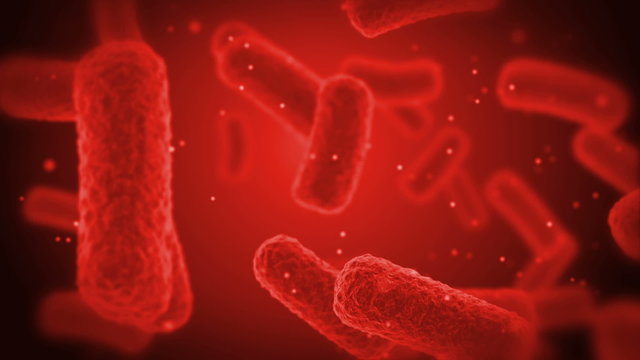 red Bacteries X-Ray.