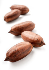 Obraz premium pecan nuts on white