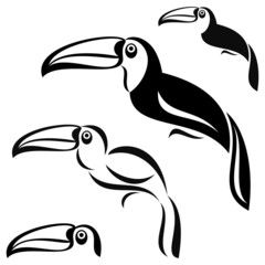 Obraz premium Toucan