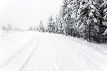 Fototapeta na wymiar Snowy road in the forest