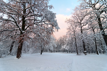 Obraz premium Amazing winter evening