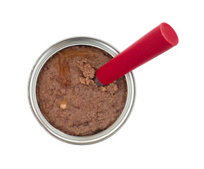 Beef dog food in can with spoon