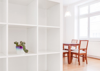 House interior white kitchen photo with cactus pot
