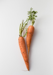 Two carrots