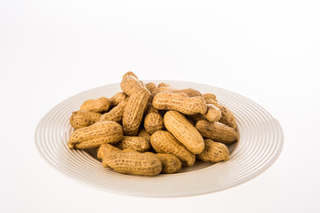 peanut on white background