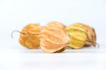 Crape gooseberry on white background