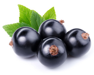 Black currant