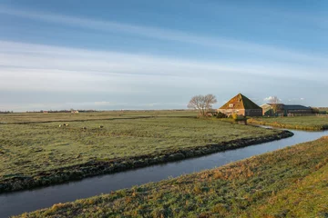 Foto auf Alu-Dibond Dutch landscape © julia700702