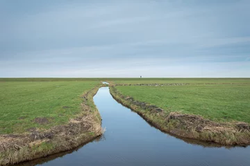 Fototapeten Dutch landscape © julia700702