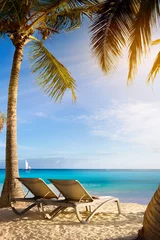 Foto op Plexiglas art Deckchairs in tropical beach © Konstiantyn