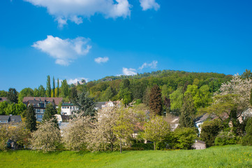 Fototapeta na wymiar Landschaftsaufnahme mit Altem Schloss und Battertfelsen, Baden-B