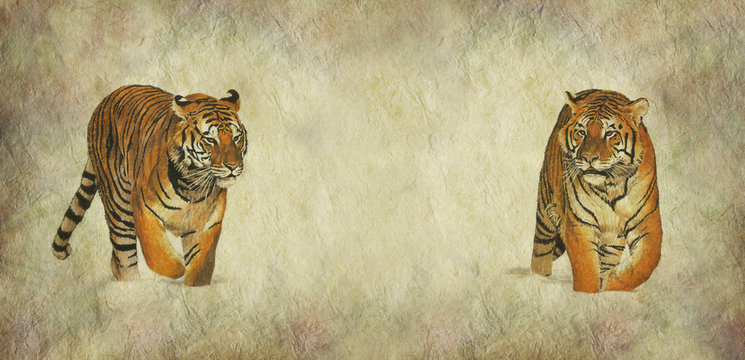 Fototapeta Save Our Tigers Banner