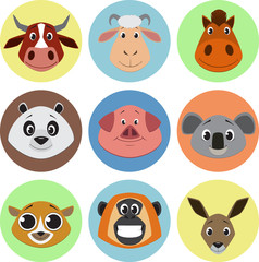 Collection of animals