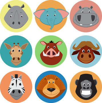 Collection of animals