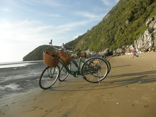 Fototapeta premium beach