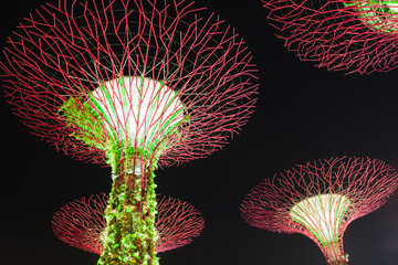 Garden by the Bay