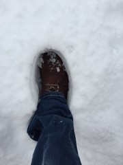 nella neve