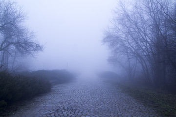 Foggy old street